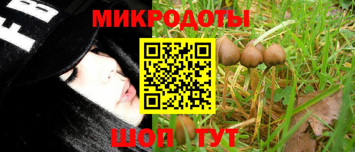 Галлюциногенные грибы Psilocybine cubensis  Вход с VPN  Протвино 